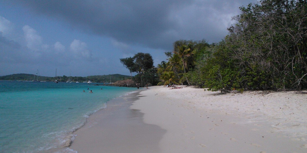 Silvio Fiorito banner