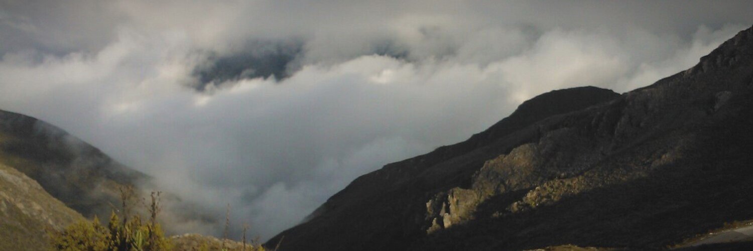 DebbieFrilende's profile banner image
