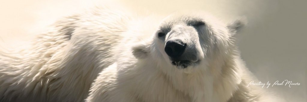 PatronStAnimals's profile banner image