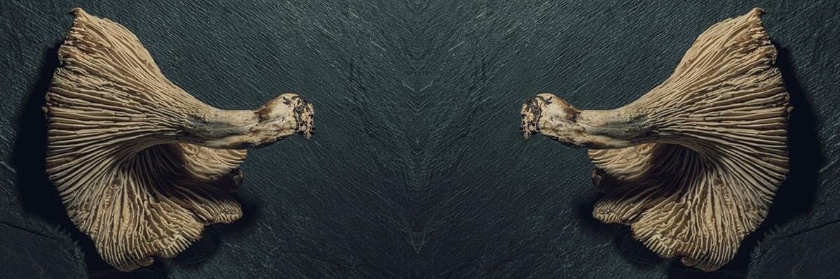 GeraldCummins's profile banner image