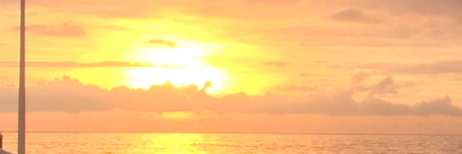 picciam's profile banner image