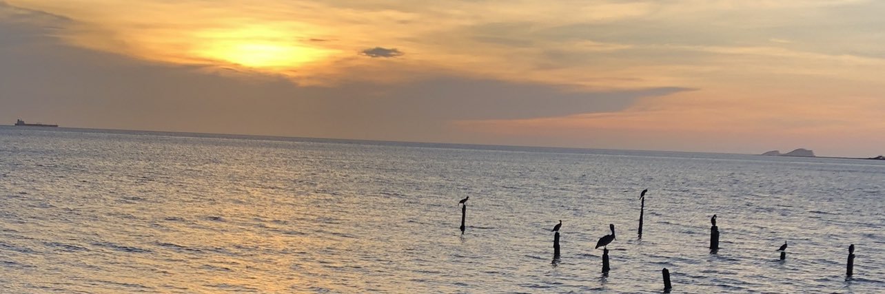danielgamarra's profile banner image