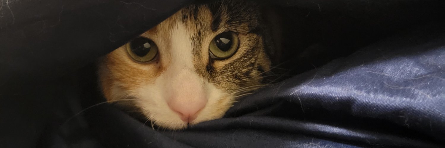 herballily34's profile banner image