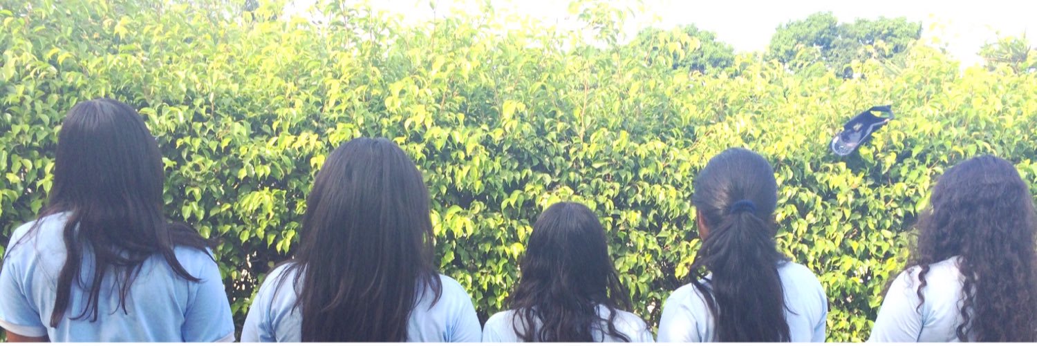 Queen23712's profile banner image
