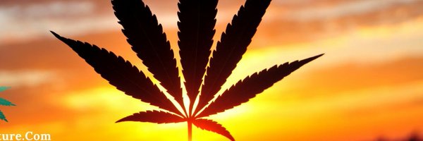 renetorry95 Profile Banner