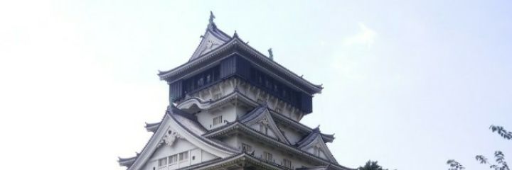 towairo246's profile banner image