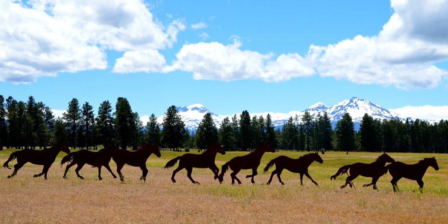 Michelle Maton banner