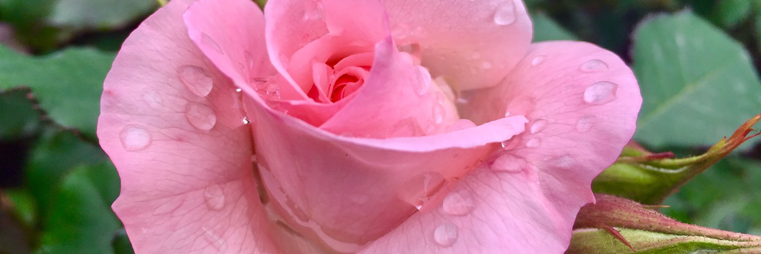 uduki_monroe's profile banner image