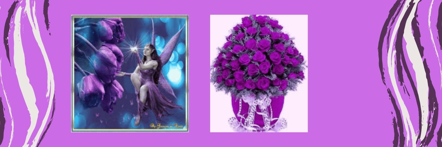 bearypurple9's profile banner image
