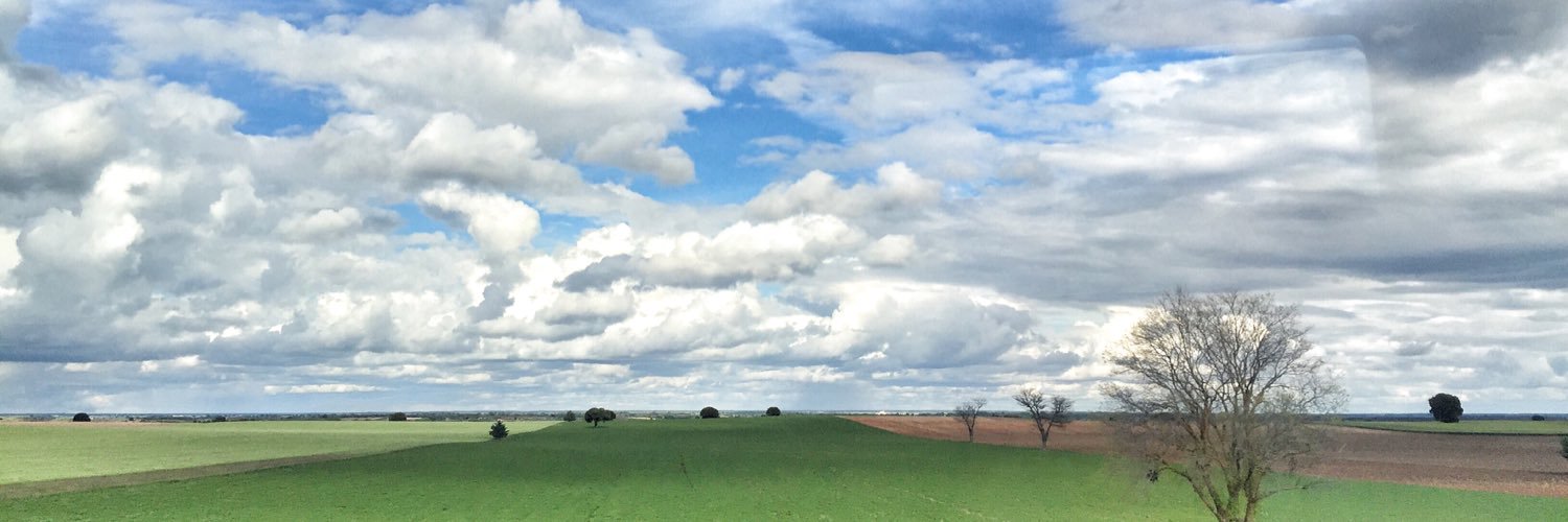 m_barsotti's profile banner image