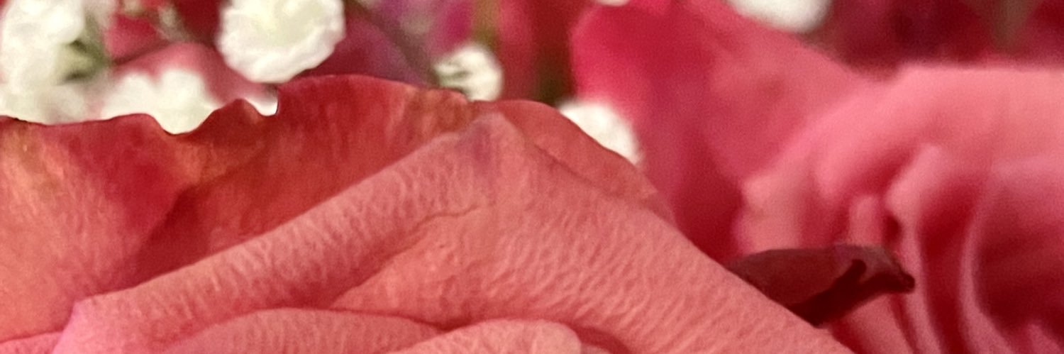 LifeIn_Progress's profile banner image