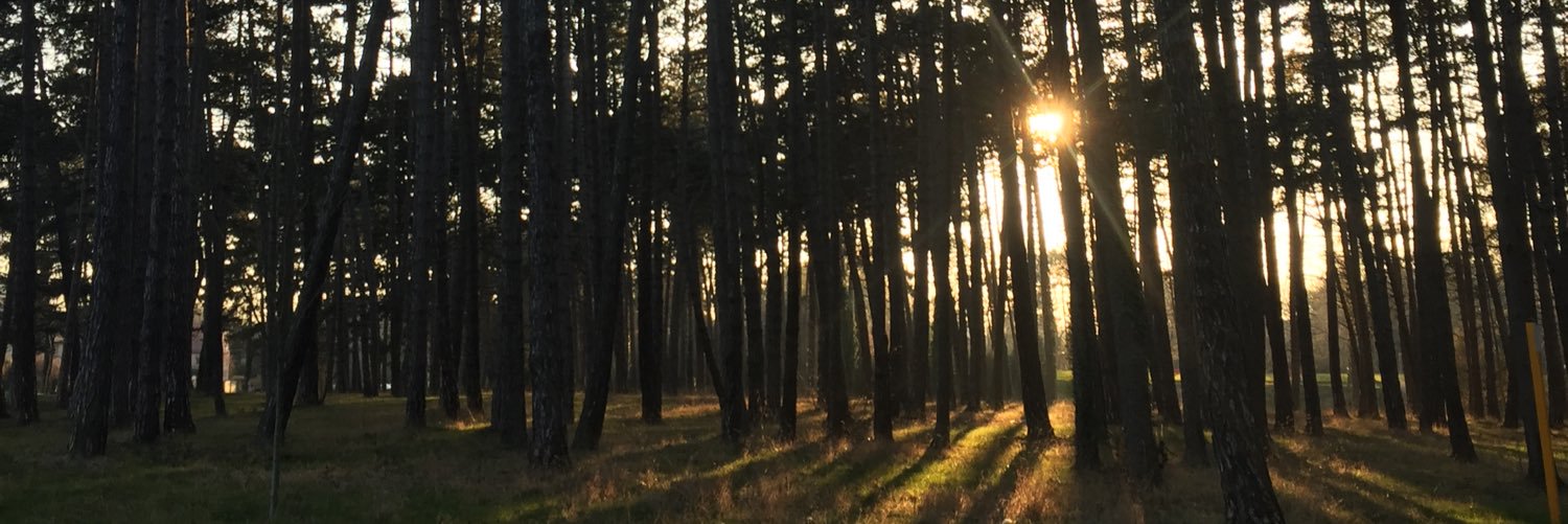 arthur_schld's profile banner image