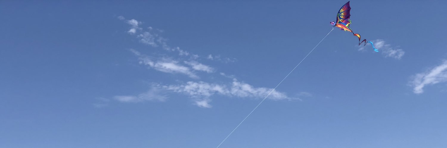 Voldorable's profile banner image