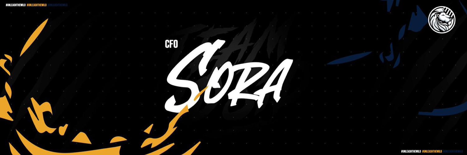 TweetsFromSora's profile banner image
