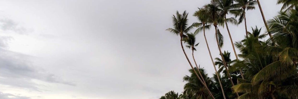 opd_z's profile banner image