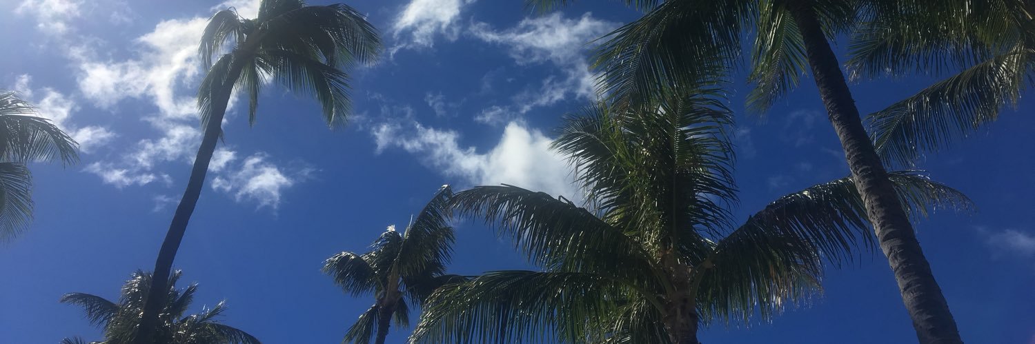 caseykloese's profile banner image