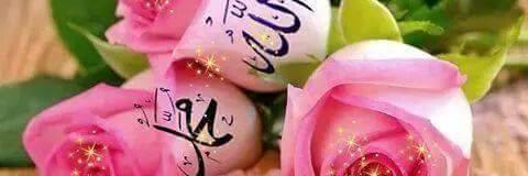 SaimaAdnanAli's profile banner image
