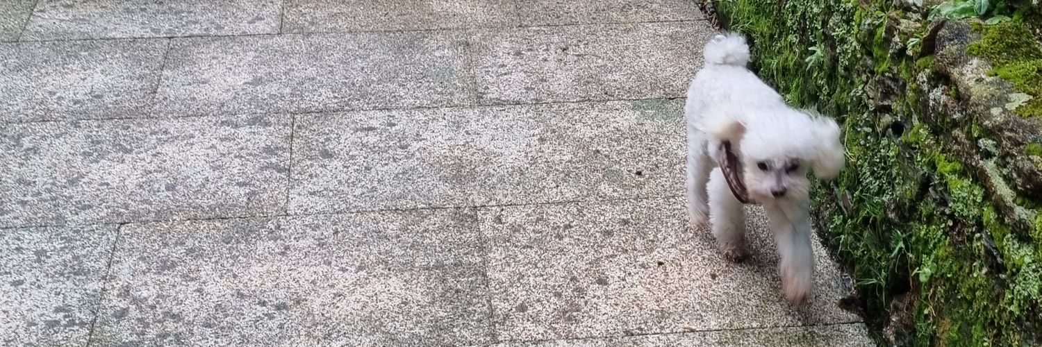ro_febar's profile banner image