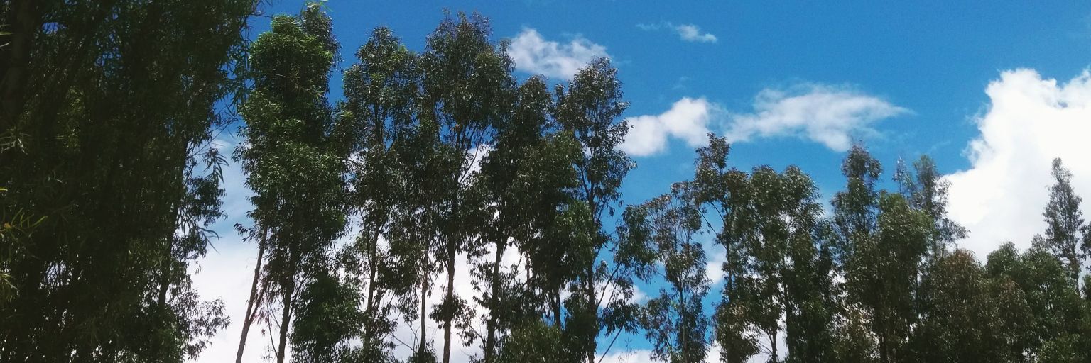 Miralda V 🚀 banner