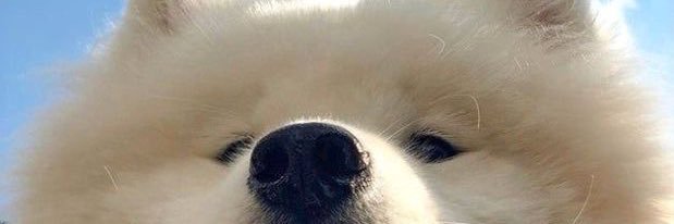 wikaa27's profile banner image