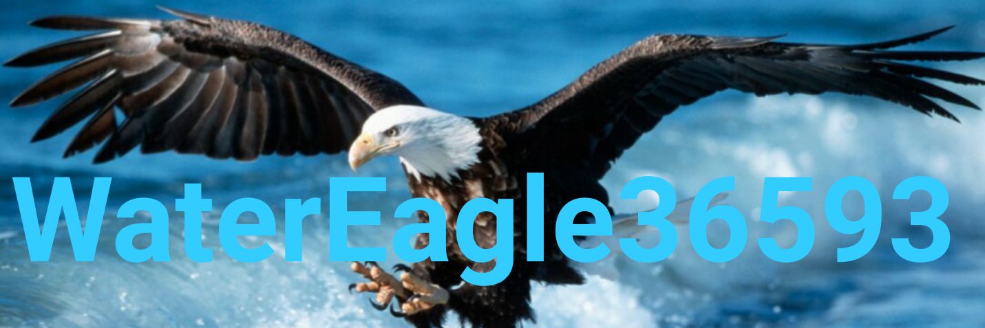 WEagle36593's profile banner image
