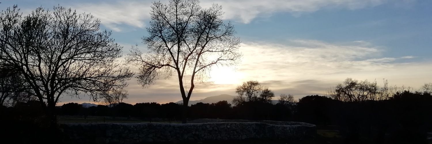 namelesswiston's profile banner image