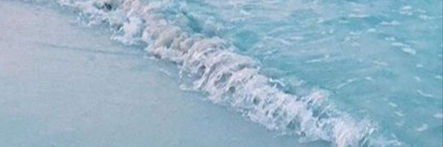 FerraroSilvana's profile banner image