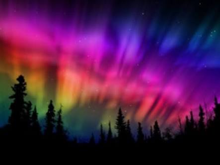 Premses hanim banner