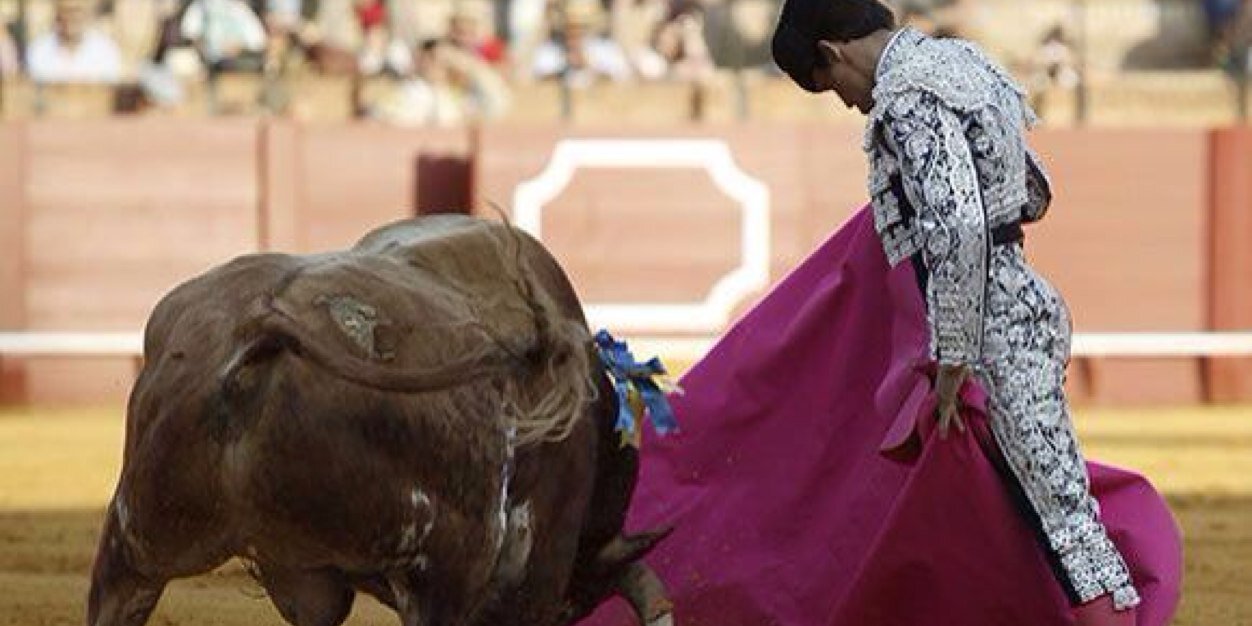 Juan Pablo Llaguno banner