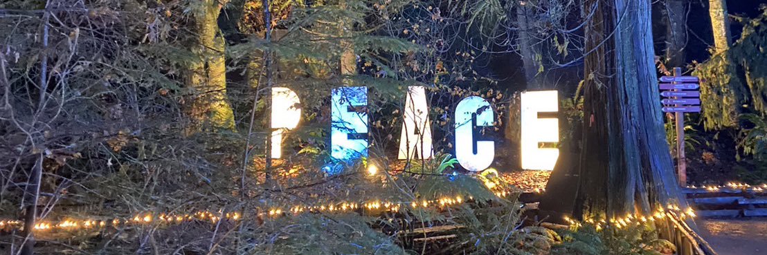 MpqGa6's profile banner image