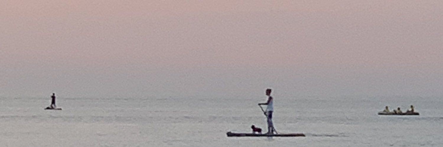 littlgreenappl's profile banner image