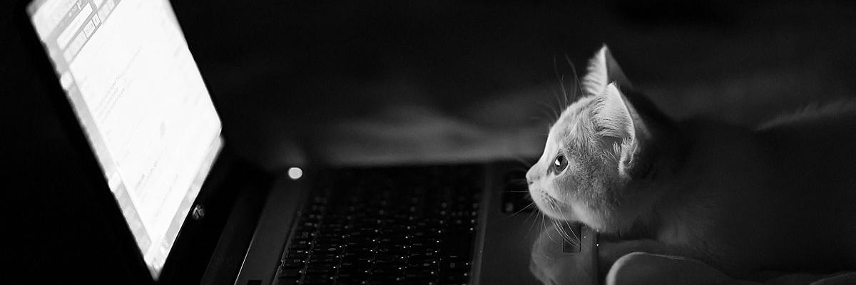 iam_Kevinar's profile banner image
