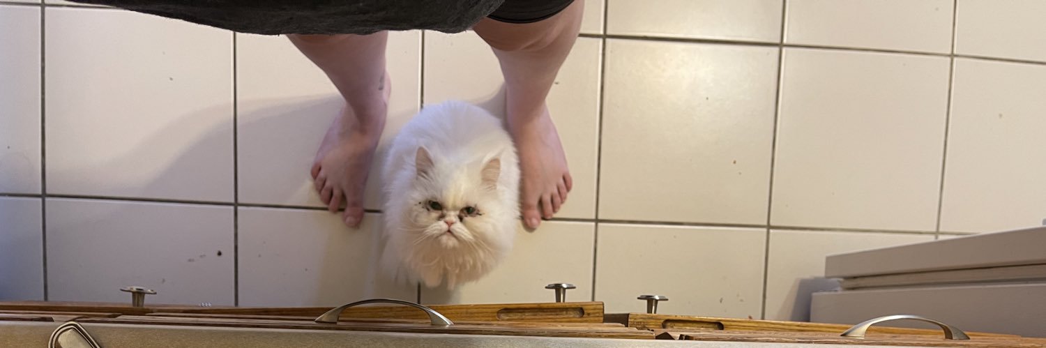wigglybug's profile banner image