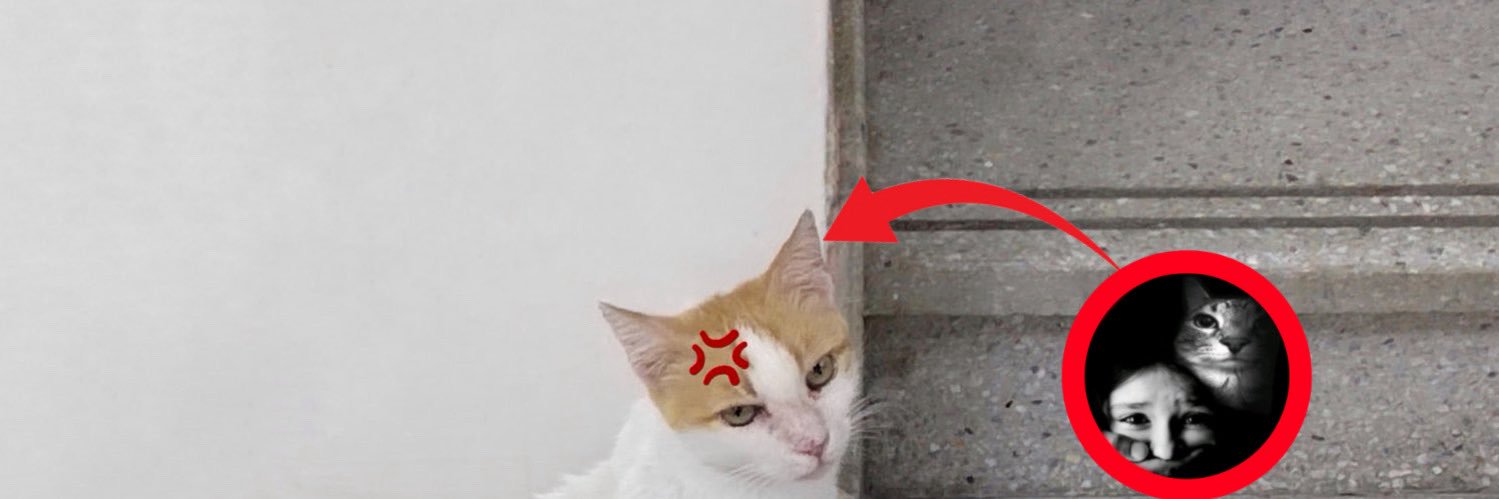 2__1b's profile banner image