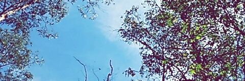 Nicolimatoss's profile banner image