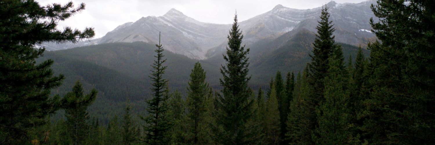 nick_hank's profile banner image