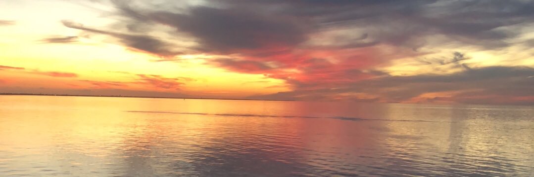 taylorlaughlin3's profile banner image