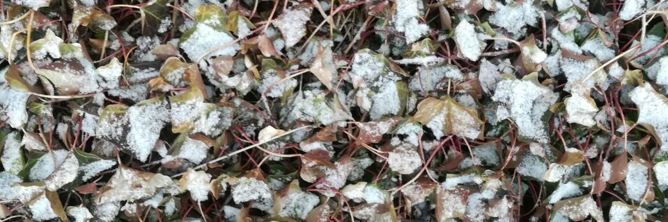 Santiago Mersch banner