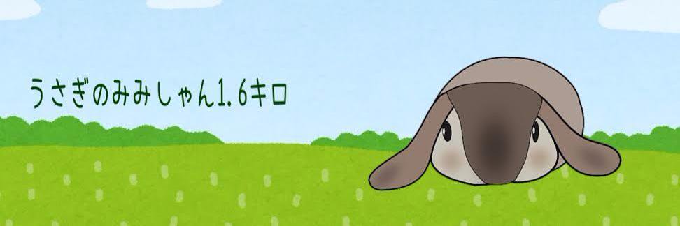 salsausagi's profile banner image