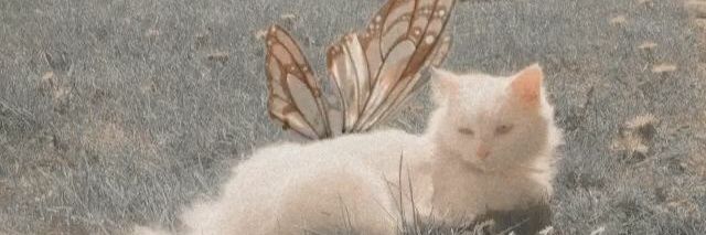 KarlaBJ_7's profile banner image