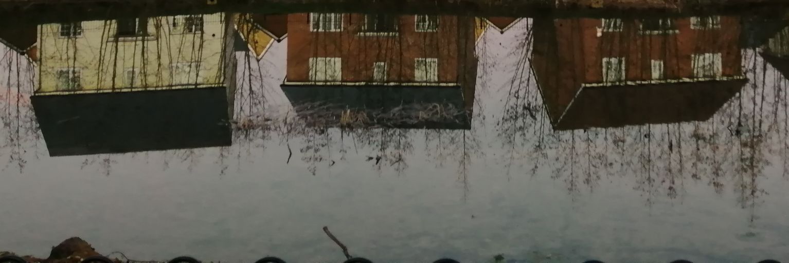 _petite_fleur's profile banner image