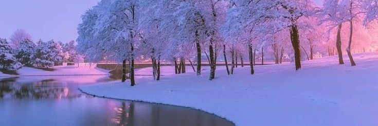 Grndrsucker's profile banner image
