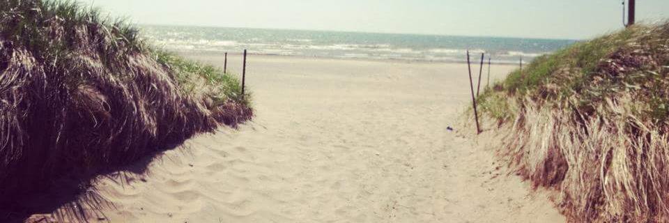 OnBrunette's profile banner image