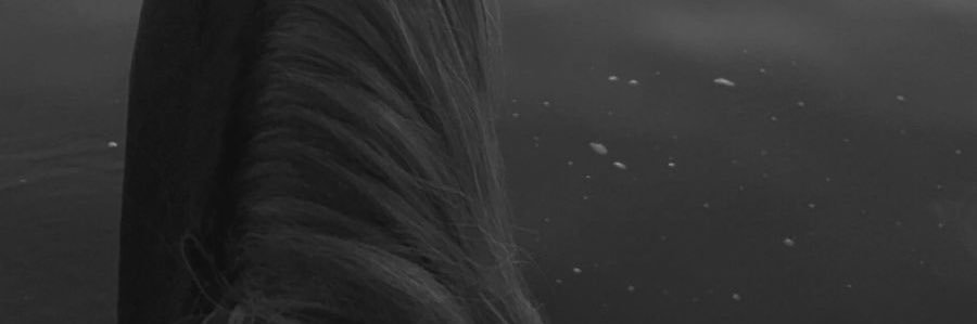 AAOH1997's profile banner image