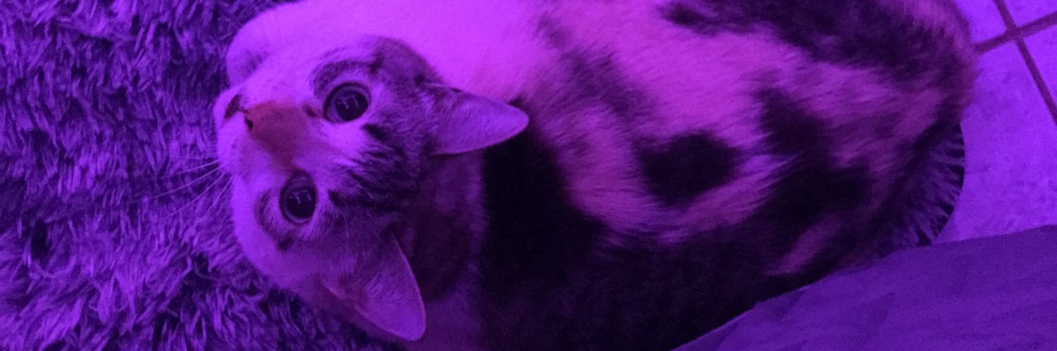 taah_subtil's profile banner image