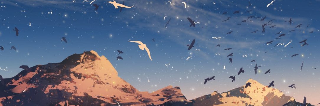 chaosraidz's profile banner image