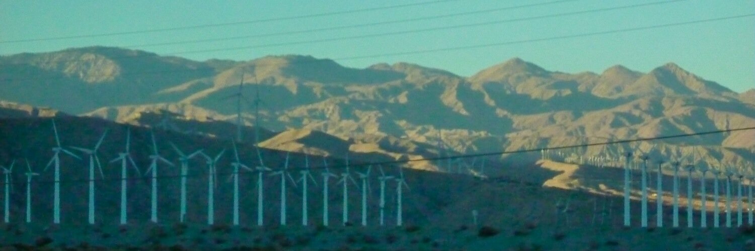 Dr ShirleyLockeridge banner