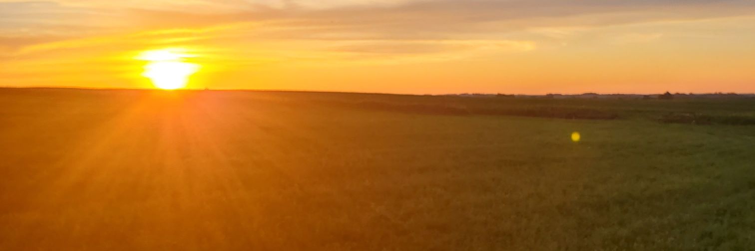 dereksobolik12's profile banner image