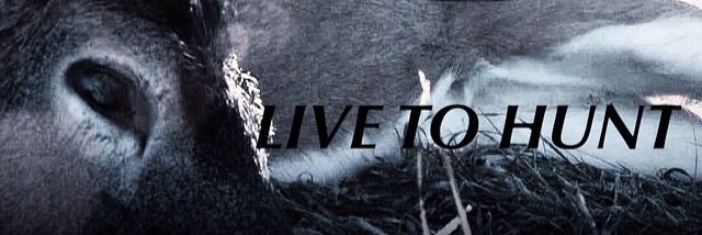 JTileston's profile banner image