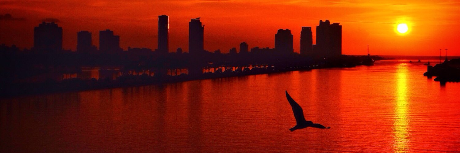 Ted Pritchard banner